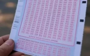 kerala lottery result today nirmal at Cwin App featured image